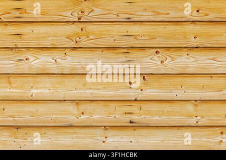 Panne di legno dorate con venatura e nodi naturali. Primo piano di panne di legno dorate orizzontali con venatura, nodi, cuciture e toni naturali caldi visibili Foto Stock