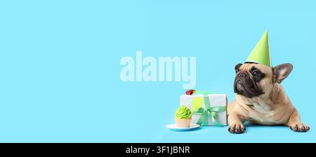 Boulanger francese con cappello da festa verde, celebra un compleanno con una scatola regalo e una tortina su sfondo blu, il cane è sdraiato accanto a un regalo incartato Foto Stock