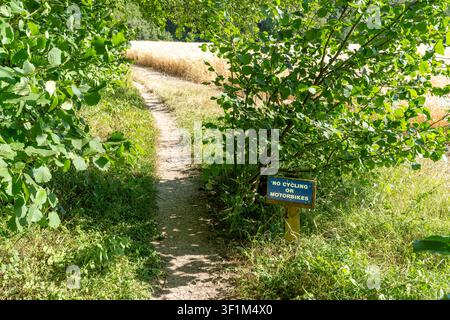 Sentiero ai margini del bosco con cartello che vieta il ciclismo o le moto Foto Stock