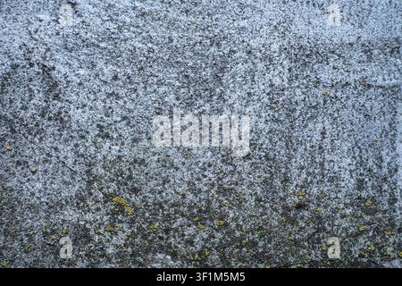Primo piano di una vecchia texture di cemento grigio consumata con una crepa e licheni gialli Foto Stock