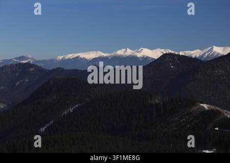 I lontani picchi innevati delle montagne si ergono oltre un crinale boscoso scuro sotto un cielo azzurro limpido, visti da un punto panoramico elevato nelle Low Tatras, Slovacchia. Foto Stock
