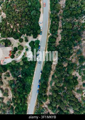 Vista aerea dall'alto di un drone di una strada rettilinea che attraversa una fitta foresta costiera. La prospettiva aerea evidenzia le infrastrutture di trasporto circondate dalla natura Foto Stock