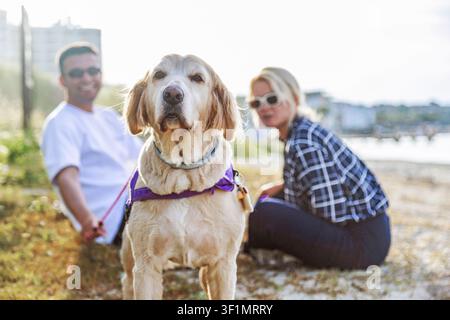 Una coppia si gode una giornata soleggiata al mare con il loro cane. L'uomo e la donna sono seduti sullo sfondo mentre il cane si trova in primo piano, creando una gioia Foto Stock