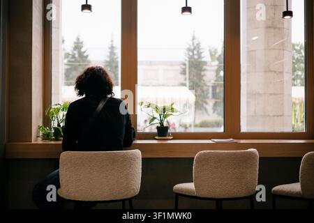 Vista posteriore di una persona seduta da sola a un bancone del caffè vicino a grandi finestre, con piante in vaso e luce soffusa del giorno, creando un'atmosfera calma e riflessiva in un mo Foto Stock