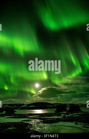 Aurora boreale (luci del nord) sulla paesaggio vulcanico e sul terreno ghiacciato e innevato del lago Mývatn, in Islanda. Foto Stock