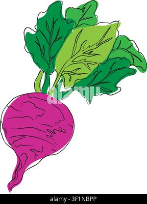 Una collezione stilizzata di elementi vettoriali piatti in colori verde e viola, disegno a linea per barbabietola, design, arte lineare di barbabietola, set di pittura a mano Illustrazione Vettoriale
