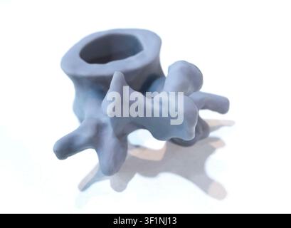 Vertebra umana anatomica stampata su stampante 3D con resina liquida isolata su sfondo bianco. Oggetto creato utilizzando resina fotopolimerica. Tecnologia SLA Stereolitografia. Produzione additiva moderna Foto Stock