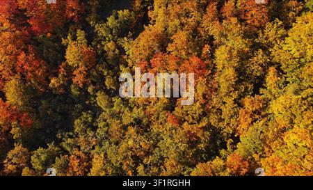 Vista dall'alto di una splendida foresta autunnale dall'alto Foto Stock
