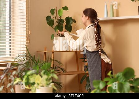 Giovane donna che irriga una pianta di monstera in un vaso bianco su una mensola di legno in un accogliente interno domestico Foto Stock
