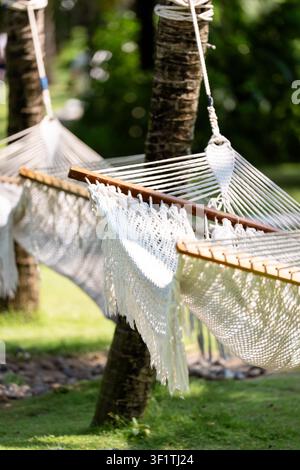 Due amache bianche appese tra le palme in un contesto di giardino tropicale soleggiato di Phu Quoc Foto Stock