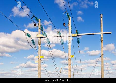 Pali in legno con linee elettriche contro il cielo blu Foto Stock