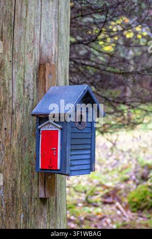 Tronco d'albero con una graziosa casetta per uccelli in una foresta Foto Stock