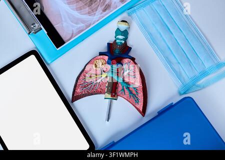 Modello di polmoni con dettagli colorati è posizionato sul tavolo di un medico insieme a strumenti medici e una mascherina nel reparto di pneumologia. Formazione medica Foto Stock