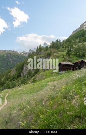 Prato verde lussureggiante e un sentiero escursionistico che conduce a fienili storici in legno con le vette del Matterhorn Foto Stock