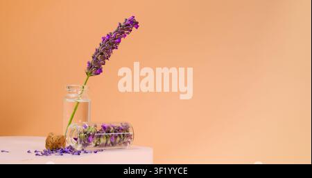 Un unico rametto di lavanda si erge in piedi in una piccola bottiglia di vetro trasparente piena d'acqua Foto Stock