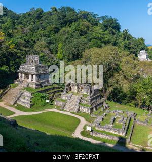 Rovine Maya di Palenque in estate, Chiapas, Messico. Foto Stock