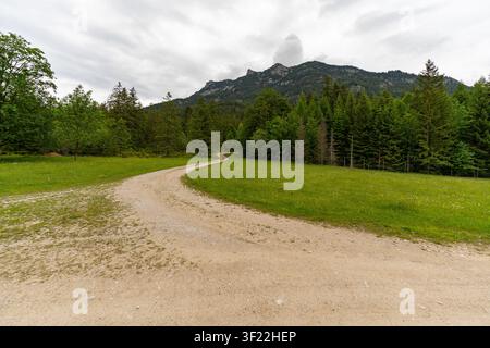 Un sentiero di ghiaia sinuoso si snoda attraverso prati verdeggianti verso una fitta foresta di pini e le vette delle montagne a Mittenwald, Germania. Il cielo nuvoloso cas Foto Stock