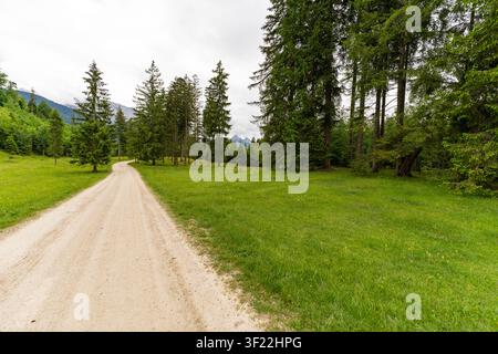 Un sentiero di ghiaia si snoda attraverso prati rigogliosi e foreste di pini alti vicino a Mittenwald, Germania. In lontananza, le vette alpine sono parzialmente vi Foto Stock