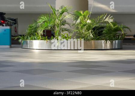 Un vaso circolare in acciaio inossidabile pieno di piante verdi tropicali, posizionato intorno a una colonna in uno spazio interno luminoso con pavimento piastrellato e luce naturale Foto Stock