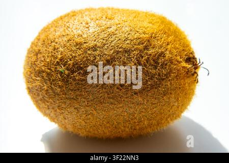 Pelle del frutto del kiwi mostrata in dettaglio a distanza ravvicinata su sfondo bianco Foto Stock