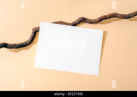 Modello di biglietto di auguri vuoto con ramo naturale attorcigliato su sfondo beige. Composizione minimalista di cancelleria, vista dall'alto, flat lay. Foto Stock