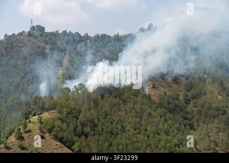 Una vista aerea mostra un fumo denso che si alza da un incendio boschivo di pini su un versante montuoso nell'Himachal Pradesh. Foto Stock