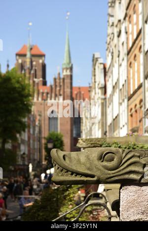 Gargoyle decorativo a forma di testa di drago stilizzata in pietra intagliata nella via Mariacka con vista sulla Chiesa di Santa Maria a Danzica, Polonia Foto Stock