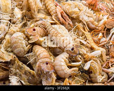 Gamberetti mantide giacciono sul ghiaccio in un mercato di frutti di mare in Spagna. Sono freschi e pronti per la cottura. Questa scena mostra una varietà di frutti di mare in un ma vibrante Foto Stock