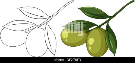 Grafica vettoriale di olive verdi su un ramo inclusa versioni colorate e in contorno. Illustrazione Vettoriale