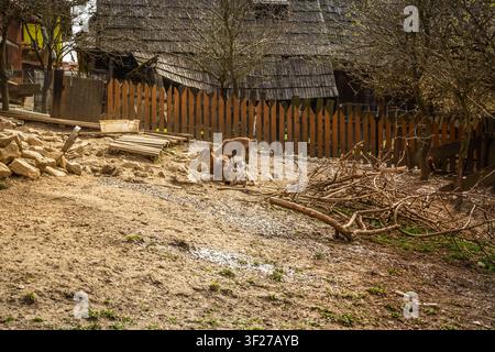 Scena di fattoria rurale con oche e una capanna di legno rustica su una collina erbosa Foto Stock