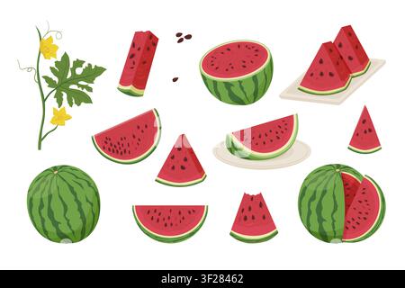 Set di anguria. Anguria intera e affettata matura Illustrazione Vettoriale