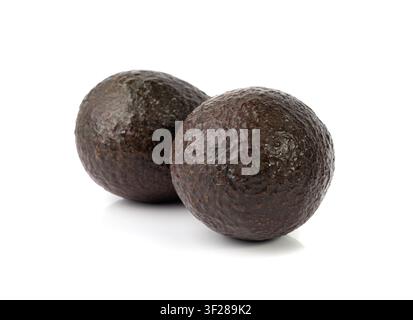 Avocado Hass isolata, set completo Sharwil, mucchio di avocado marroni, pera alligatore fresca, ingrediente per il guacamole, frutto di avocado Persea Americana su sfondo bianco Foto Stock