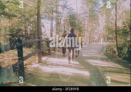 Tre amici che camminano su un sentiero boschivo soleggiato Foto Stock