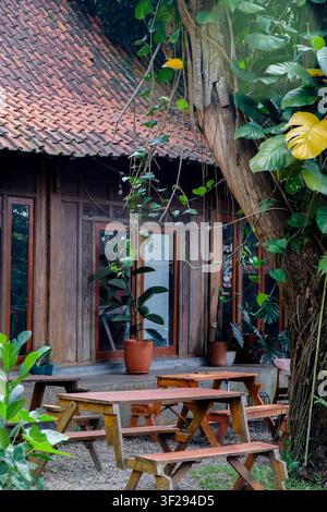 Intimo caffè all'aperto con tavoli e sedie in legno vuoti in un lussureggiante giardino tropicale sul retro Foto Stock