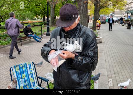 Uomo anziano che nutre piccioni / piccioni selvatici / colombe di roccia / piccioni di roccia, Parco Tsentralna Banya, Sofia, Bulgaria, i Balcani, Europa dell'Est Foto Stock