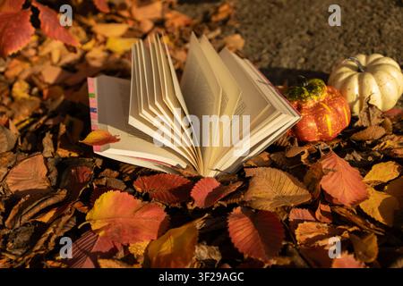 Ciao, autunno. In una giornata di sole, un libro aperto e due piccole zucche riposano su foglie rosse-arancioni cadute. Un momento di piacevole solitudine, autoeducazione b Foto Stock
