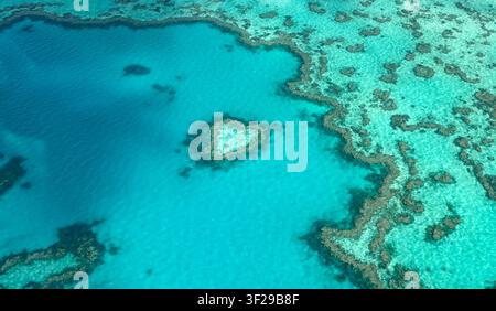 Vista aerea dell'iconica formazione corallina a forma di cuore di Heart Reef circondata dalle acque turchesi di Hardy Reef nella Grande Barriera Corallina vicino a A Foto Stock