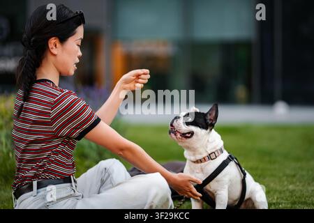 Donna giapponese che allena un bulldog francese in un parco urbano Foto Stock