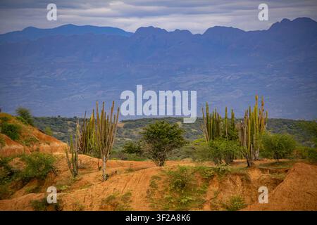 Vista panoramica del deserto di Tatacoa a Huila, in Colombia, che mostra drammatiche formazioni rocciose rosse, canyon tortuosi e un paesaggio arido sotto un cielo sereno Foto Stock