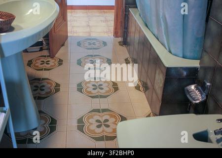 Un primo piano ad angolo alto che si concentra sulle piastrelle di ceramica decorative con un motivo geometrico floreale all'interno di un bagno retrò. L'immagine cattura Foto Stock
