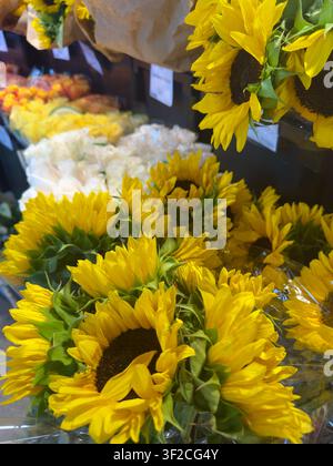 Girasoli freschi esposti in un mercato di fiori con composizioni floreali colorate sullo sfondo. Foto Stock