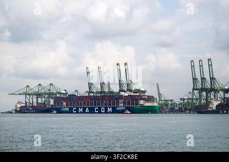 Singapore. 17 luglio 2026. Una nave portacontainer attracca al terminal di Pasir Panjang a Singapore il 17 luglio 2026. Le esportazioni domestiche non petrolifere di Singapore (NODX) sono aumentate del 20,7 percento su base annua a giugno, attenuando l'aumento del 38,4 percento registrato a maggio, secondo i dati ufficiali di Enterprise Singapore diffusi venerdì. Credit: Then Chih Wey/Xinhua/Alamy Live News Foto Stock