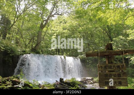 Cascate di Choshi del torrente di montagna Oirase ad Aomori, Giappone Foto Stock