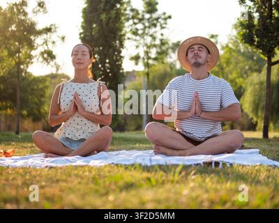 Coppia adulta multirazziale che pratica yoga nel parco in estate. Posizione del loto. Foto Stock