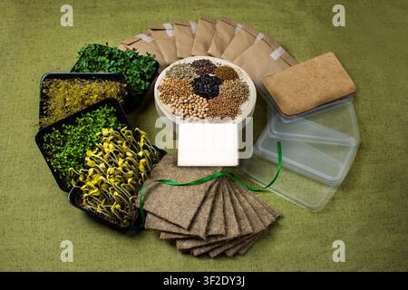 Tutti i componenti includono pacchetti di semi kraft, tappetini di iuta, contenitori trasparenti, piastre di semina e vassoi neri con verde germogliato. Ventola di kraft sigillata Foto Stock