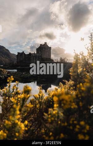 Castello di Eilean Donan silouettato al tramonto, incorniciato da ginestre gialle e riflessi sull'acqua calma nelle Highlands scozzesi, Scozia, Regno Unito, u Foto Stock