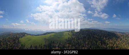 Una vista aerea panoramica ultra ampia da un'altezza di quasi 1.500 metri cattura il paesaggio esteso di prati alpini e foreste di conifere del sud Foto Stock