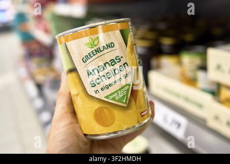 Latta di fette di ananas nel loro succo è tenuta in mano dal marchio Greenland, posizionata sugli scaffali del supermercato, discount alimentare a basso costo Foto Stock
