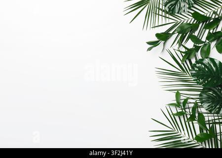 Set di foglie verdi cornice su sfondo bianco Foto Stock