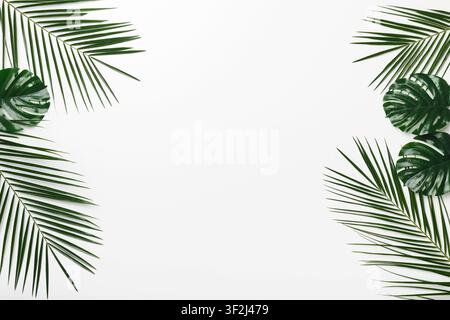 Cornice tropicale creativa di palma e Monstera foglie su bianco Foto Stock
